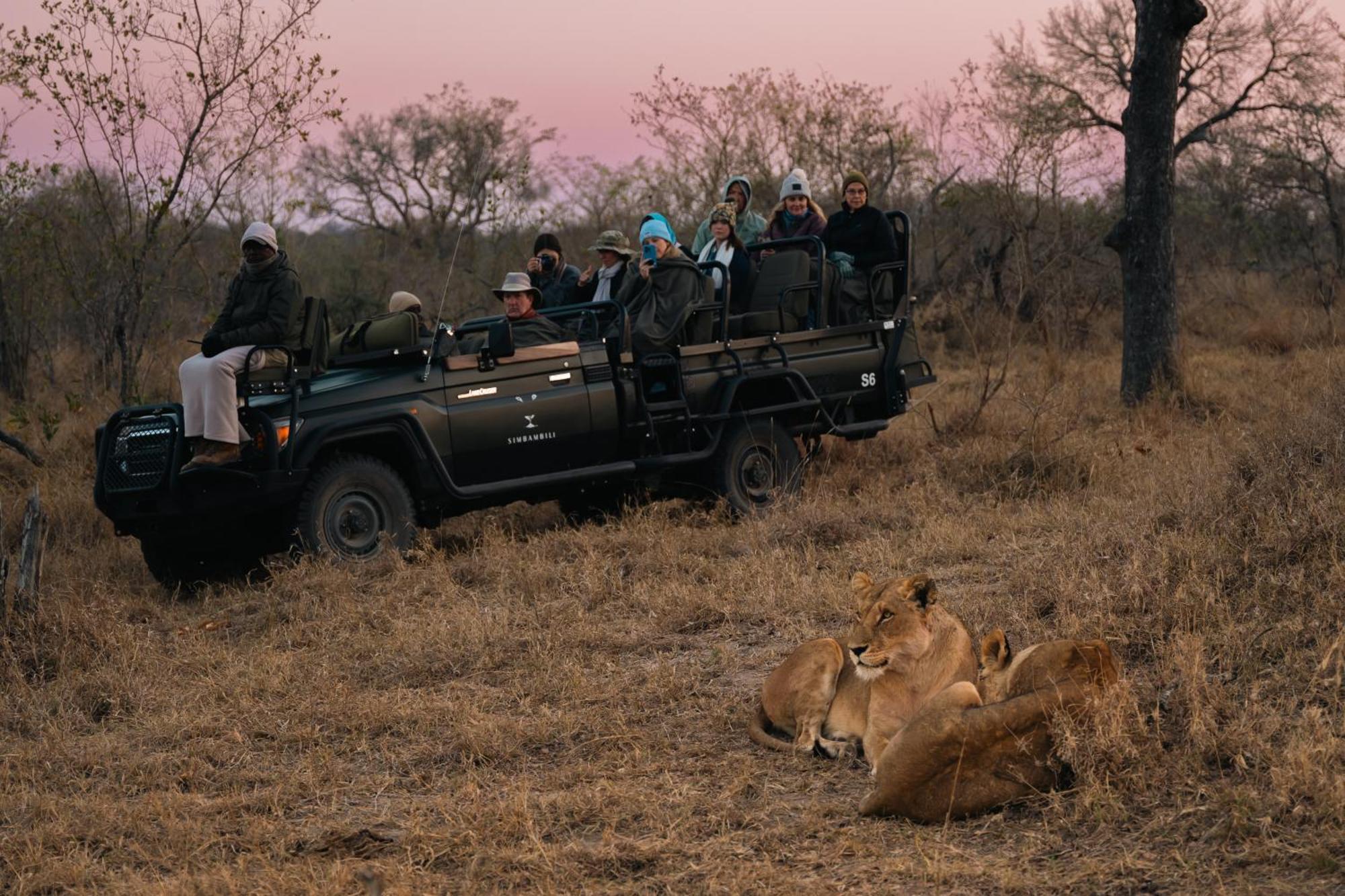 Thornybush Simbambili Lodge 사비샌드 외부 사진