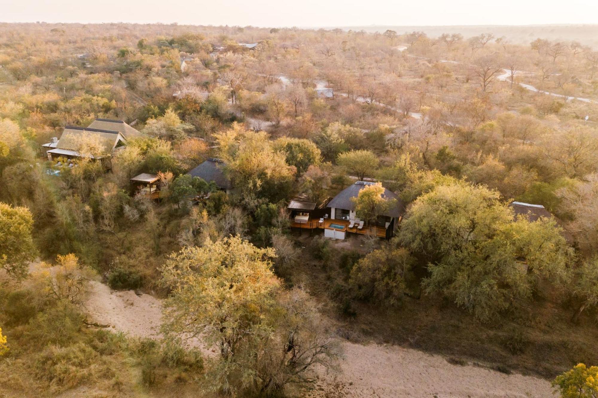Thornybush Simbambili Lodge 사비샌드 외부 사진